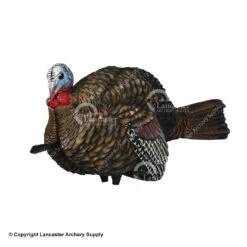 Avian-X LCD Jake 1/2 Strut Turkey Decoy