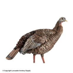 Avain-X HDR Hen Decoy